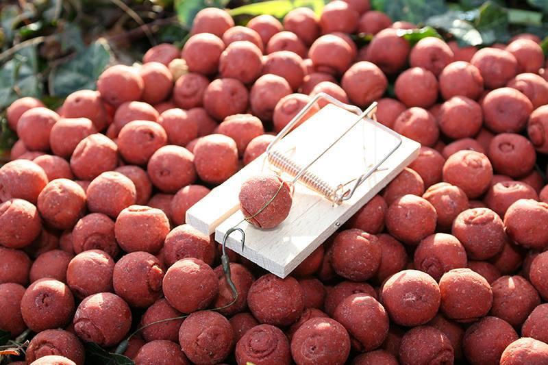 Atentie,imagini socante +18 - 9706914673861933447561207153682n.jpg